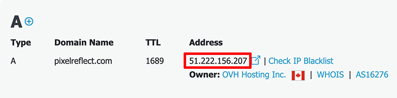 Domain A DNS lookup