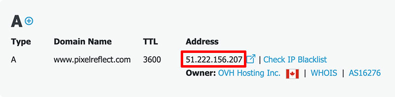 WWW Domain A DNS lookup