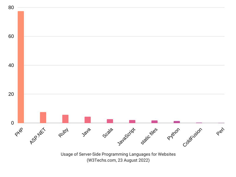 Server-side programming languages for websites usage statistics