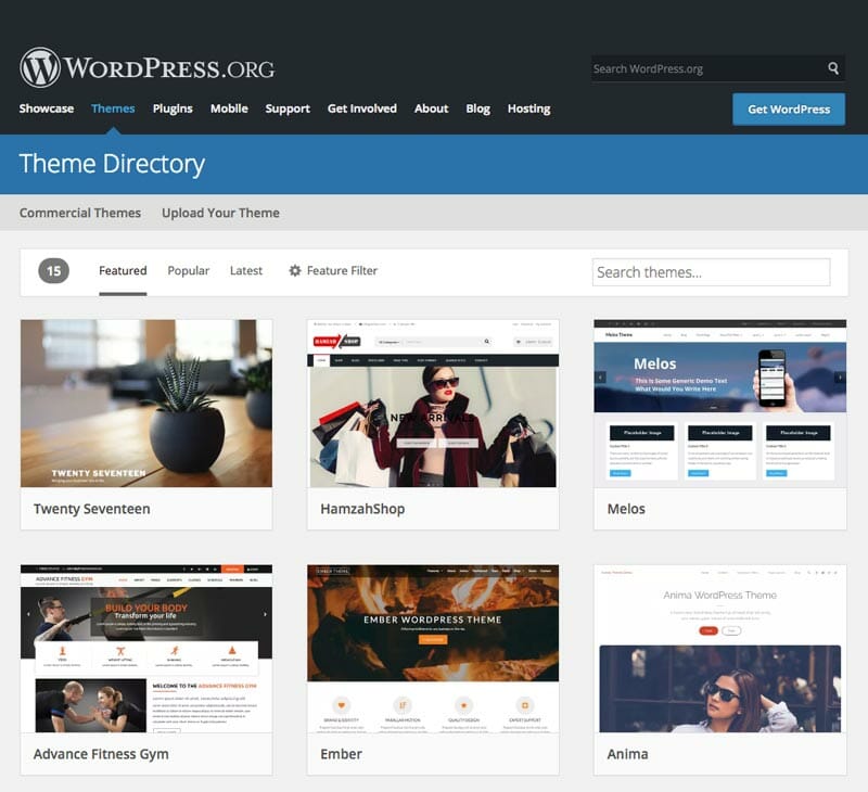 WordPress theme directory