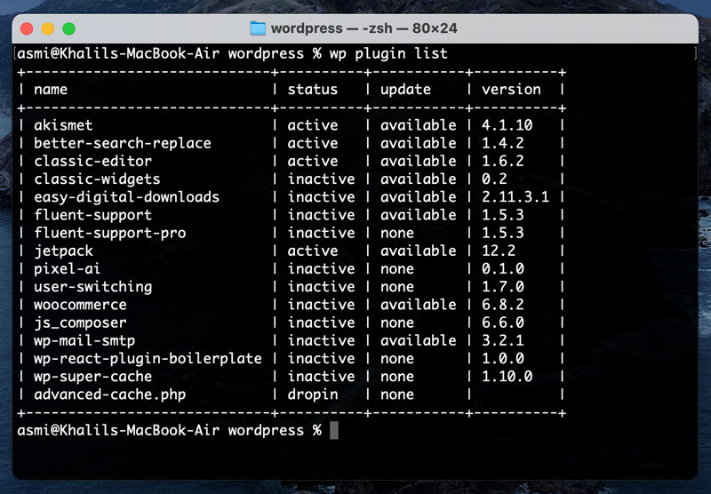 WP-CLI list all installed plugins